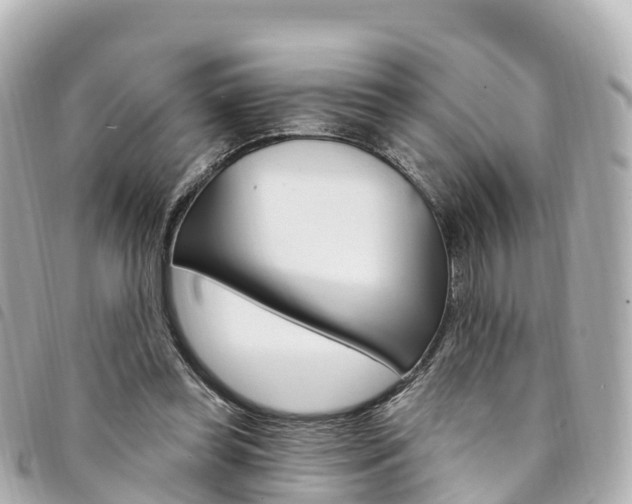 X0000094230349200710261018