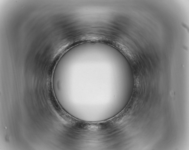 X0000094230352200710261018
