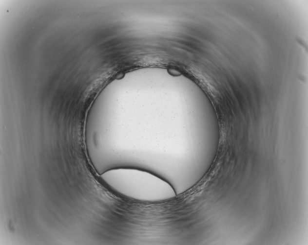 X0000094230353200710261018
