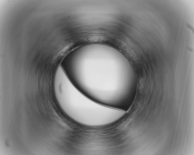 X0000094230356200710261018