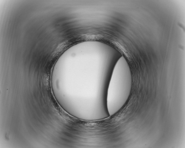 X0000094230357200710261018