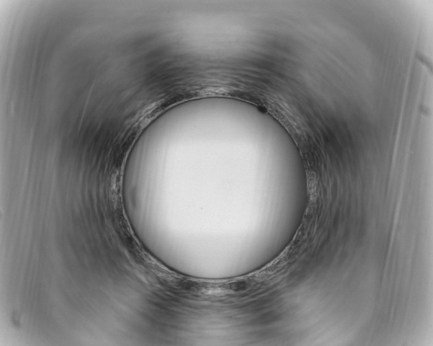 X0000094230360200710261018