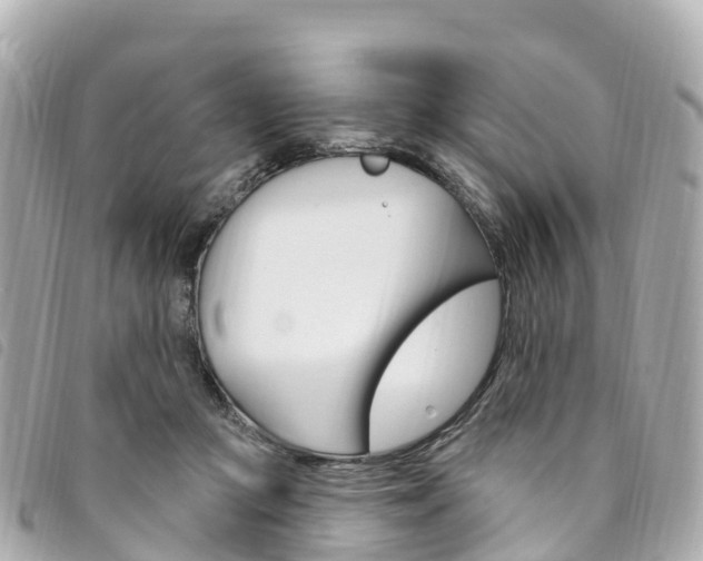 X0000094230361200710261018