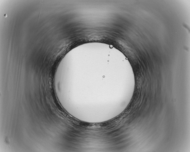 X0000094230362200710261018
