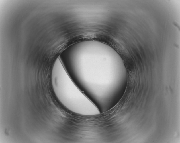 X0000094230364200710261018