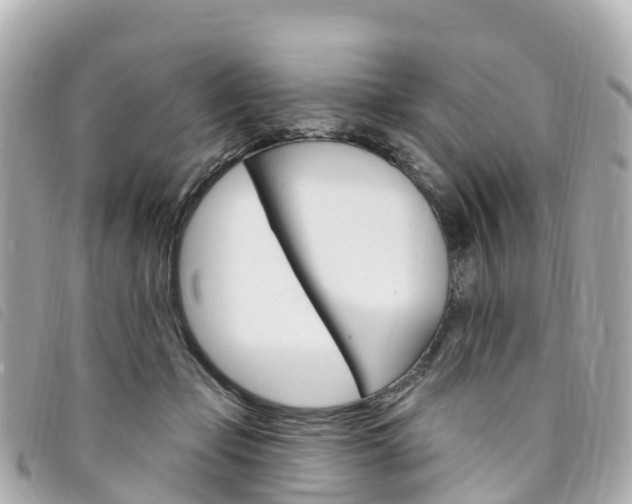 X0000094230365200710261018