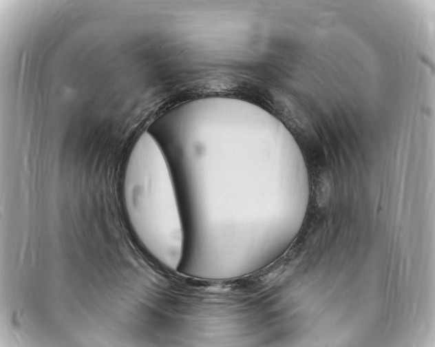 X0000094230366200710261018