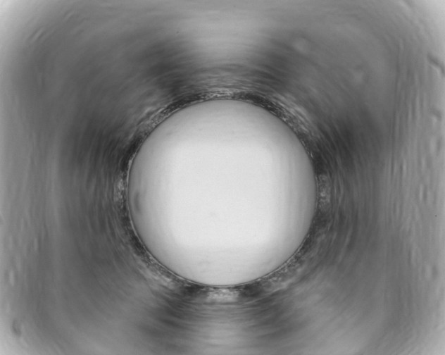 X0000094230369200710261018
