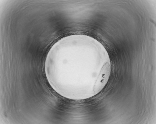 X0000094230370200710261018