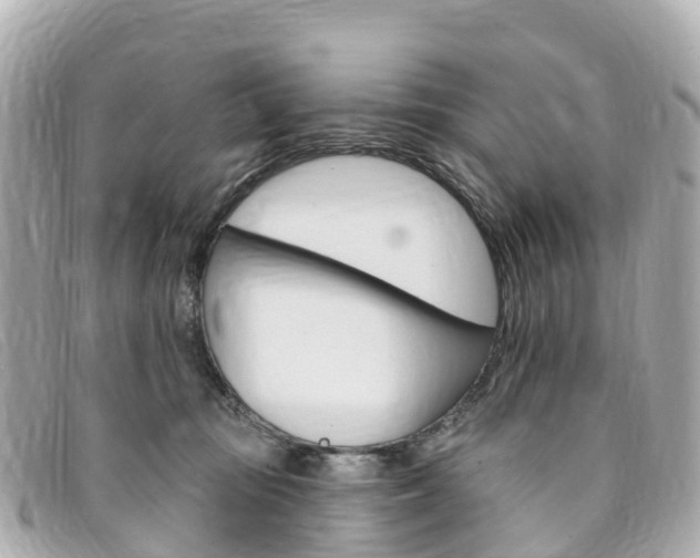 X0000094230371200710261018