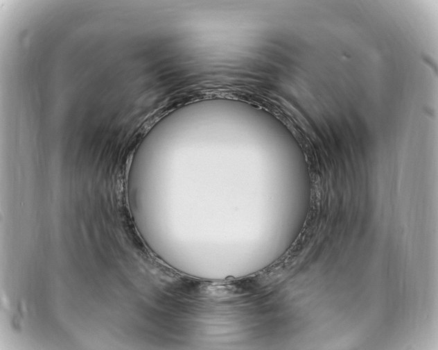 X0000094230372200710261018