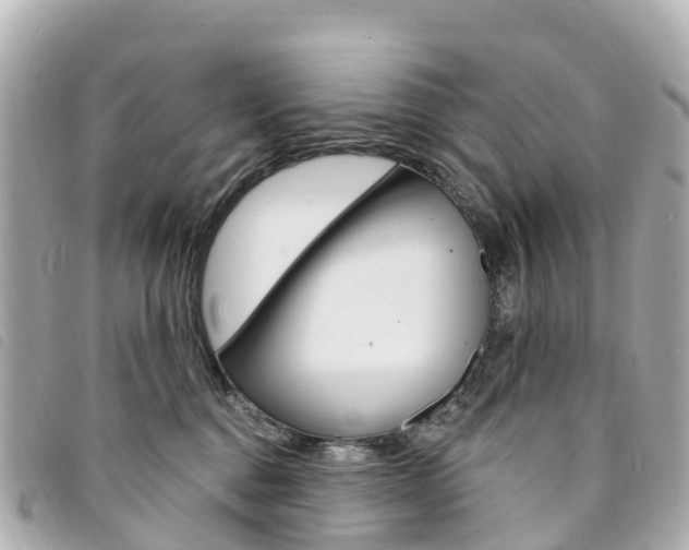 X0000094230376200710261018