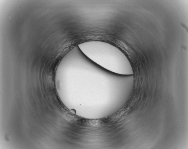 X0000094230377200710261018