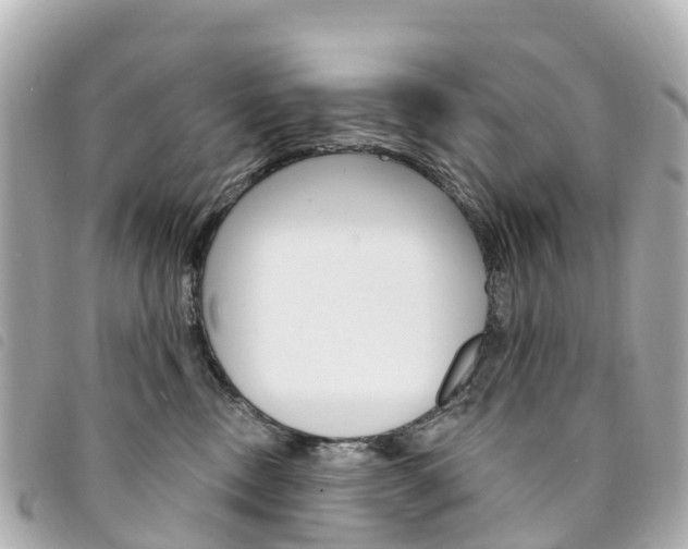 X0000094230378200710261018