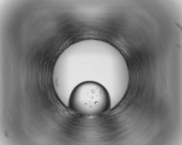 X0000094230382200710261018