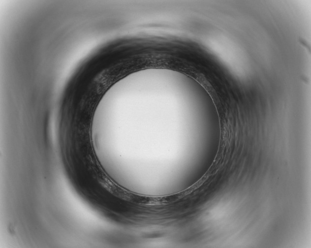 X0000094230383200710261018