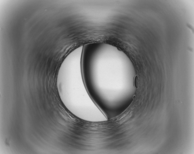 X0000094230384200710261018
