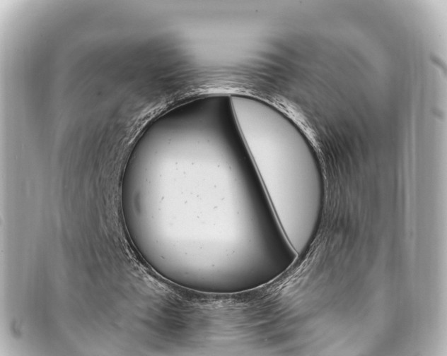 X0000094230385200710261018
