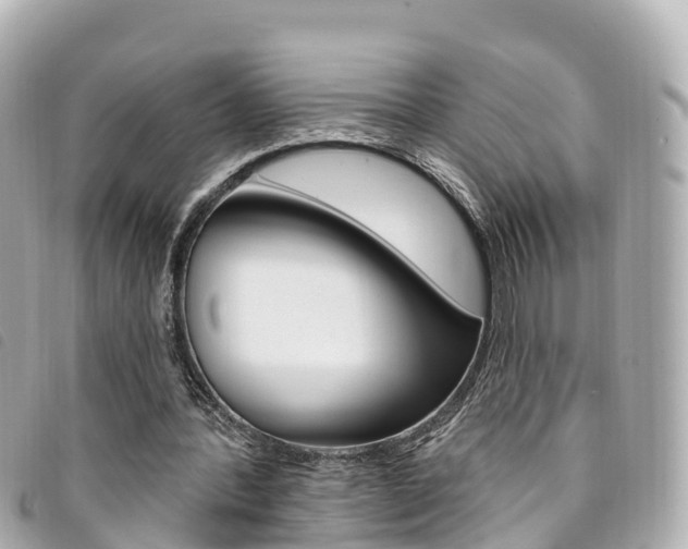 X0000094230388200710261018