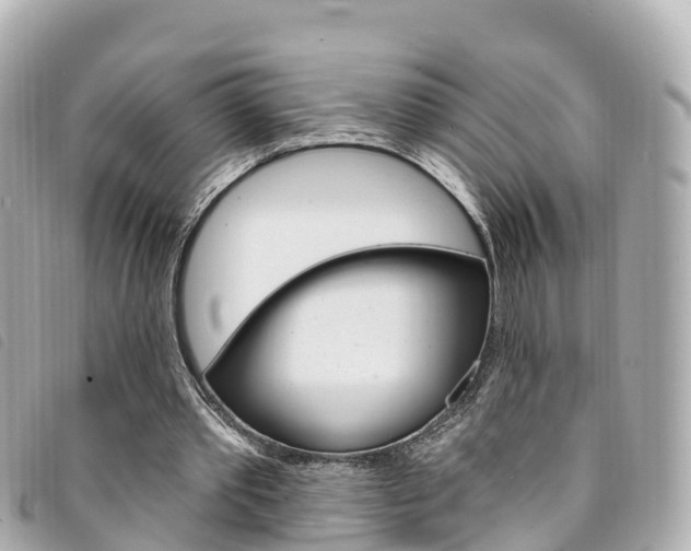 X0000094230389200710261018