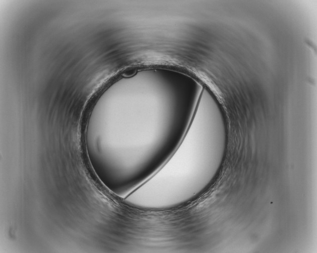 X0000094230391200710261018