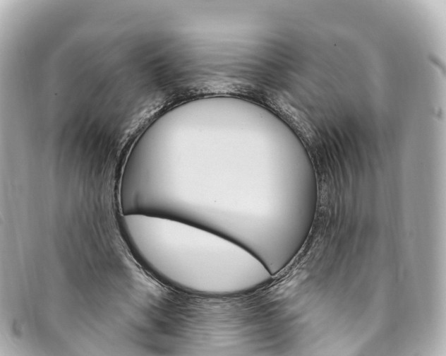 X0000094230394200710261018