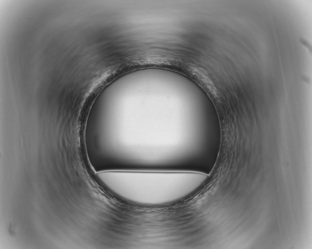 X0000094230395200710261018