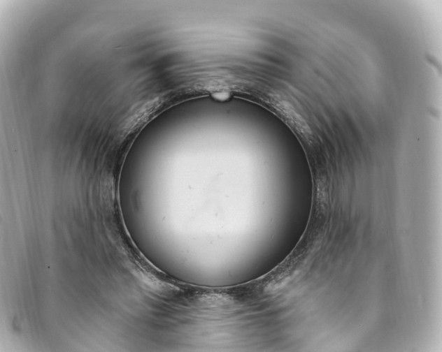 X0000094230397200710261018