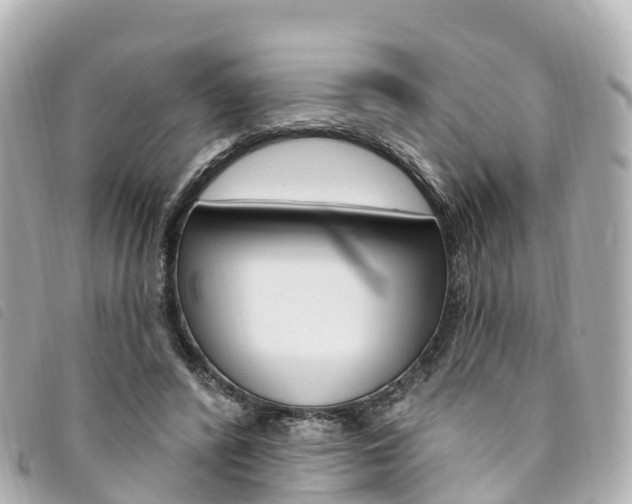 X0000094230400200710261018