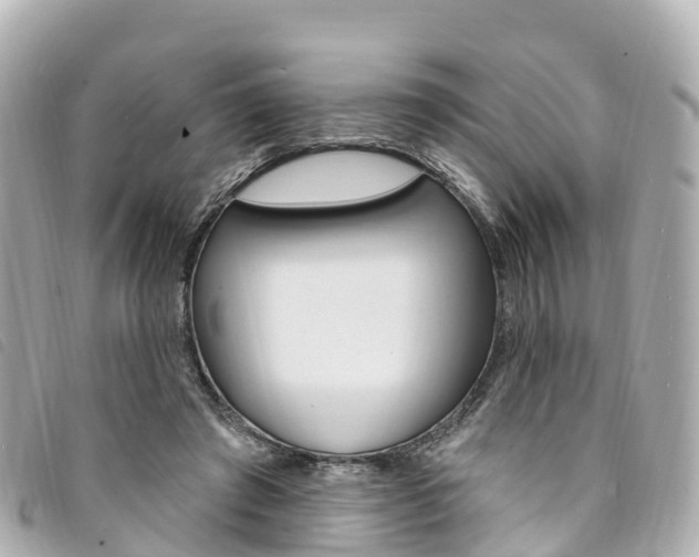 X0000094230401200710261018