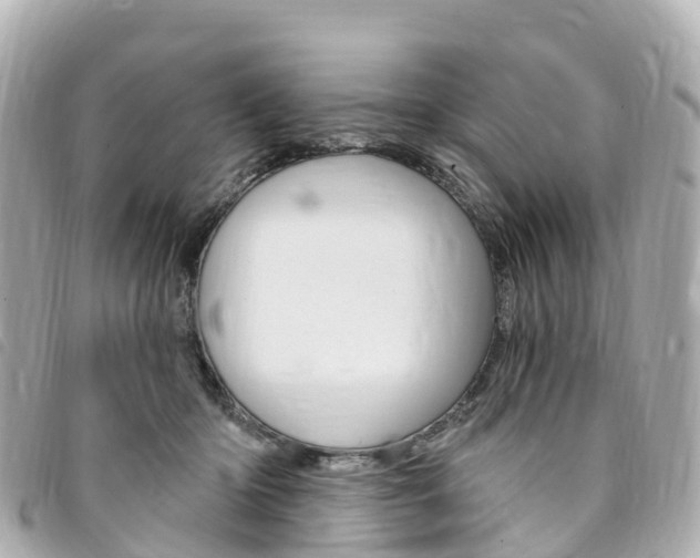 X0000094230414200710261017
