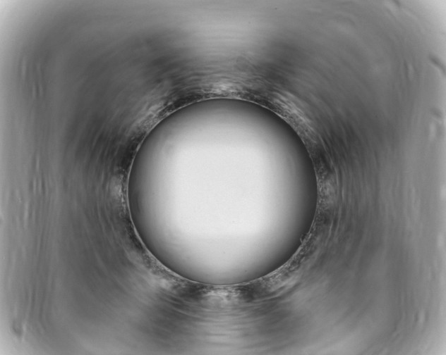 X0000094230415200710261017