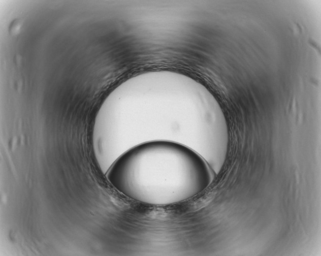 X0000094230416200710261017