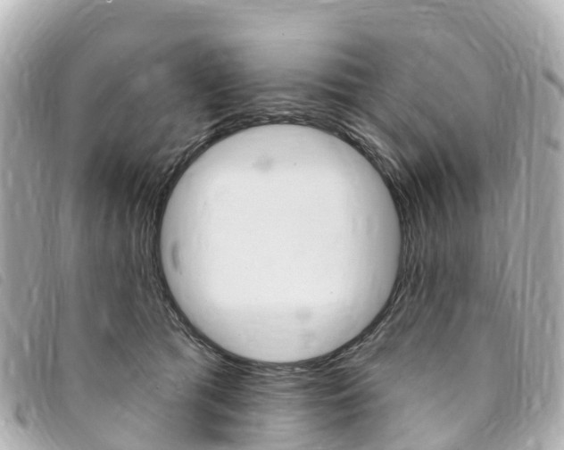 X0000094230417200710261017