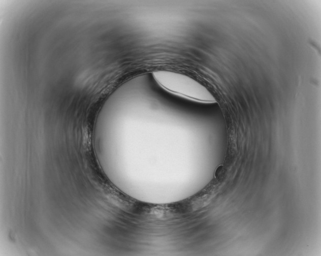 X0000094230420200710261017