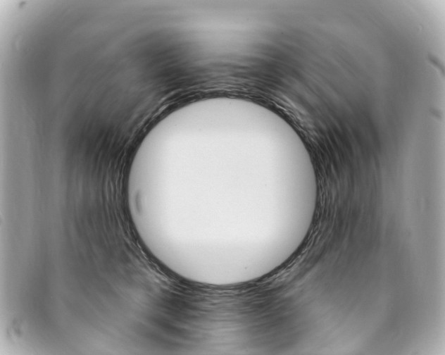 X0000094230421200710261017