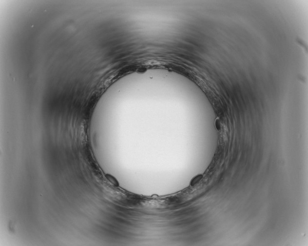 X0000094230422200710261017
