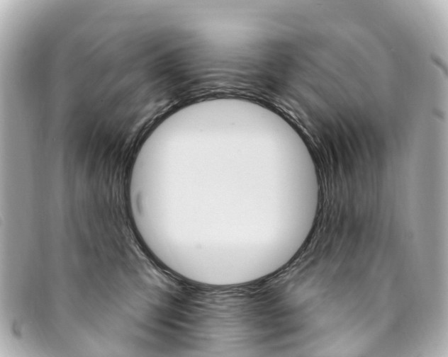 X0000094230423200710261017