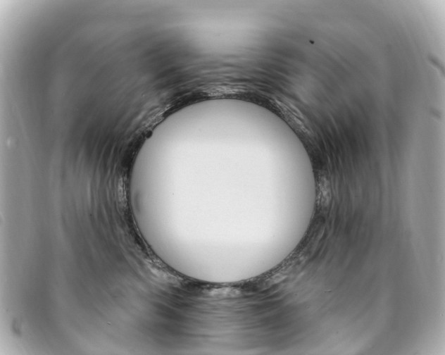 X0000094230426200710261017