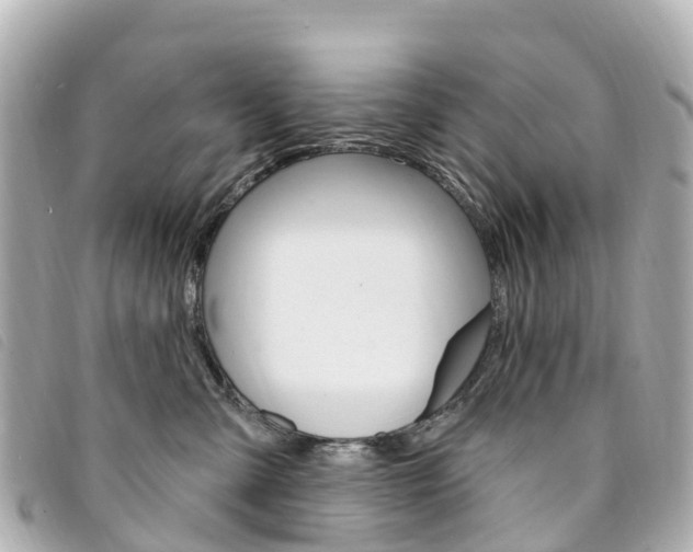 X0000094230427200710261017