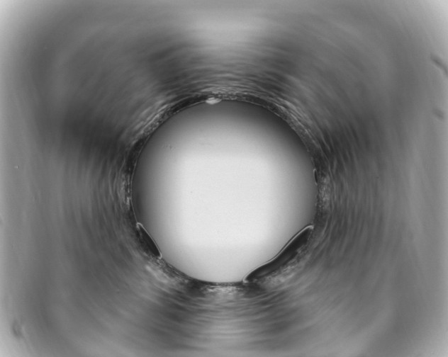 X0000094230428200710261017