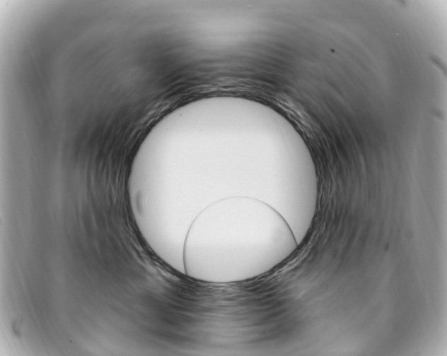 X0000094230429200710261017