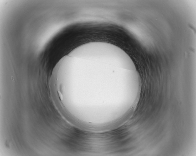 X0000094230431200710261017