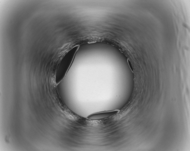 X0000094230432200710261017