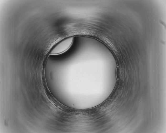 X0000094230434200710261017