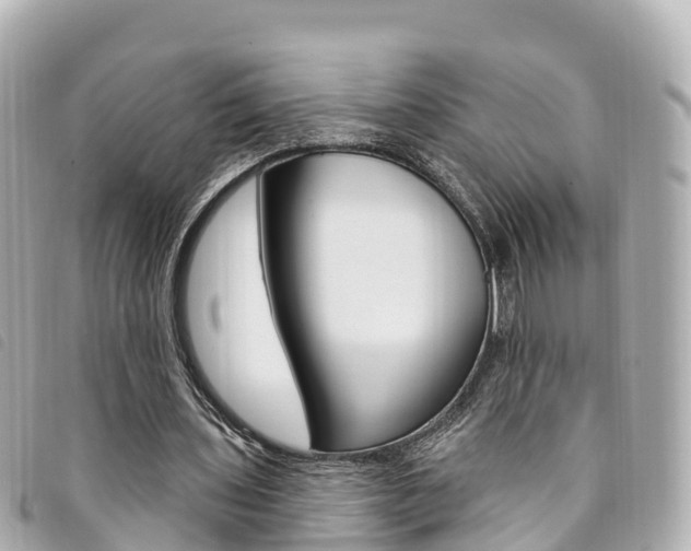 X0000094230435200710261017