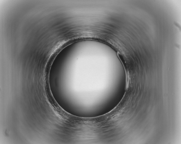 X0000094230436200710261017