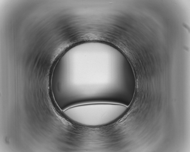 X0000094230438200710261017