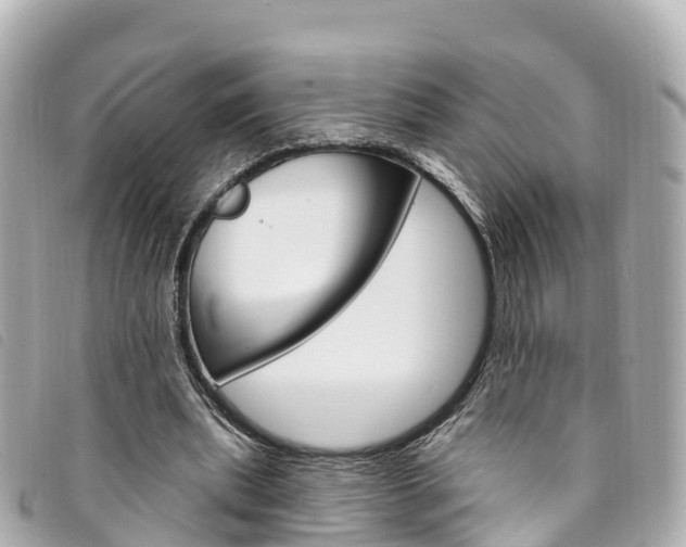 X0000094230439200710261017