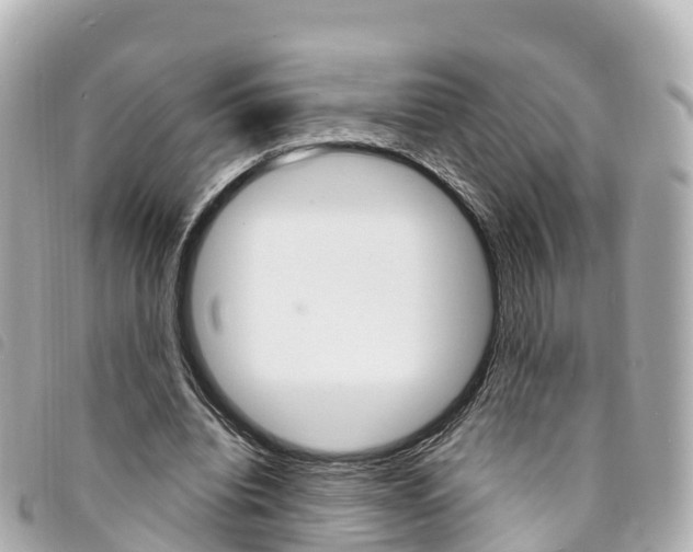X0000094230440200710261017